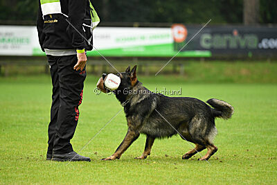 Boomer vom Wolfsdreieck