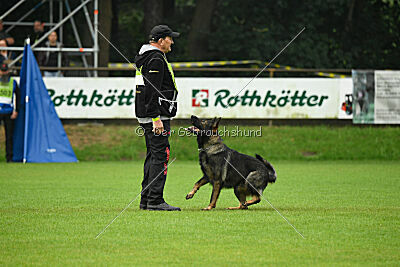 Boomer vom Wolfsdreieck