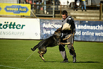 Boomer vom Wolfsdreieck