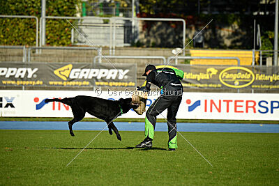 Boromir vom Druidensteig