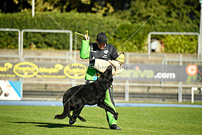 Boromir vom Druidensteig