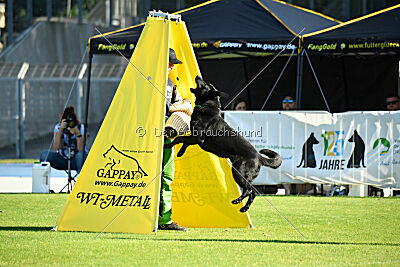 Boromir vom Druidensteig