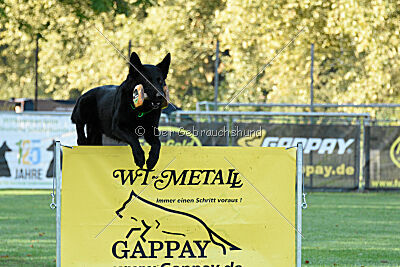 Boromir vom Druidensteig