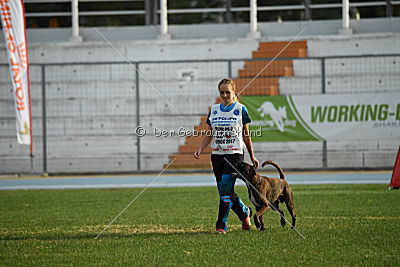 Bosckoph Sir Chaplin