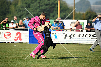 Bosse vom Lindelbrunn