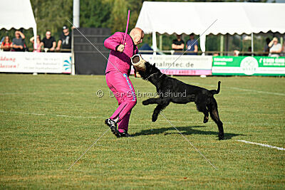 Bosse vom Lindelbrunn
