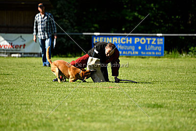 Bowie vom Clan der Wölfe