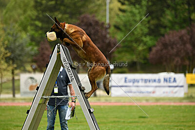 Boyka de Fontemordant