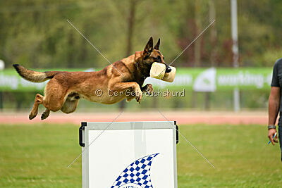 Boyka de Fontemordant