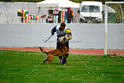 Boyka de Fontemordant