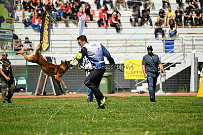 Boyka de Fontemordant