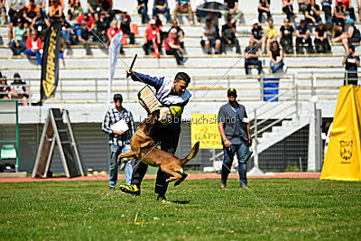 Boyka de Fontemordant