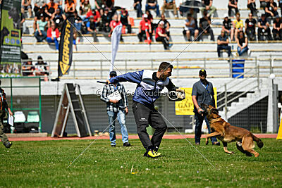 Boyka de Fontemordant