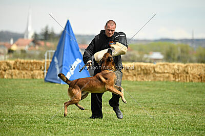 Boyka de Fontemordant