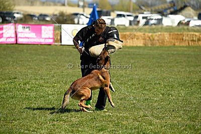 Boyka de Fontemordant