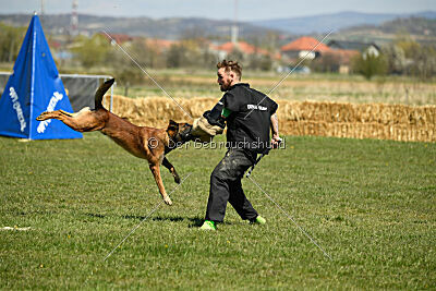 Boyka de Fontemordant