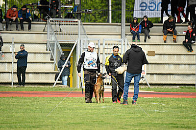 Boyka de Fontemordant