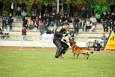 Boyka de Fontemordant