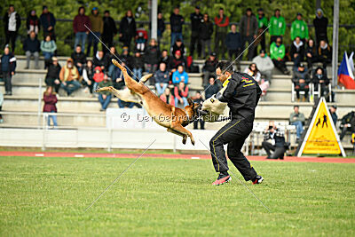 Boyka de Fontemordant