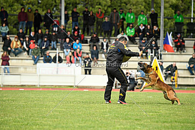 Boyka de Fontemordant