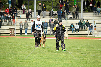 Boyka de Fontemordant