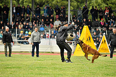 Boyka de Fontemordant