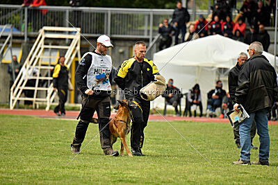 Boyka de Fontemordant