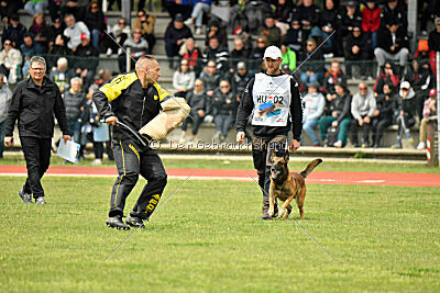 Boyka de Fontemordant