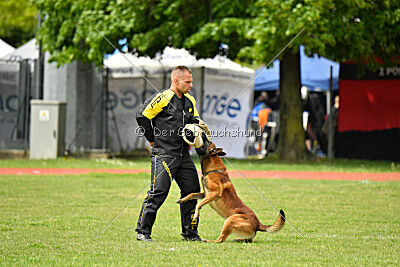 Boyka de Fontemordant