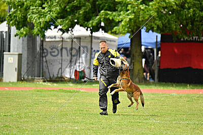 Boyka de Fontemordant