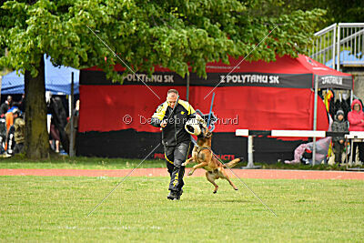 Boyka de Fontemordant