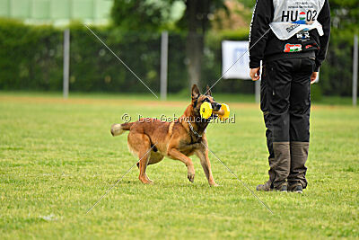 Boyka de Fontemordant