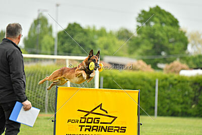 Boyka de Fontemordant