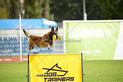 Boyka de Fontemordant