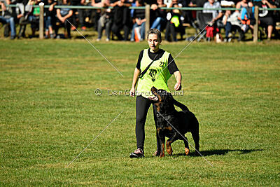 Brando von Hohenbeilstein