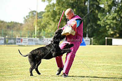 Branka vom Lindelbrunn