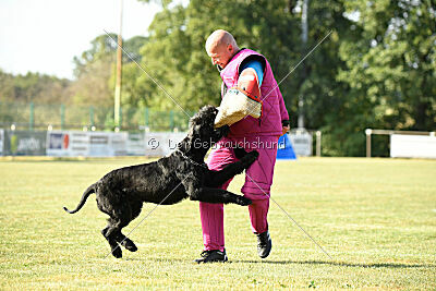 Branka vom Lindelbrunn