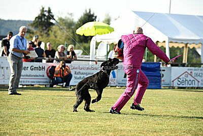 Branka vom Lindelbrunn