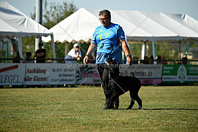 Branka vom Lindelbrunn