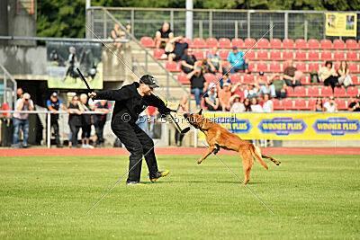 Branko von Haus ReKO