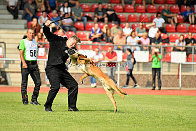 Branko von Haus ReKO