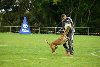 Brave Brisko von den zauberhaften Teufeln