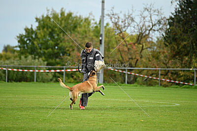 Brave Brisko von den zauberhaften Teufeln