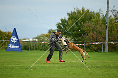 Brave Brisko von den zauberhaften Teufeln