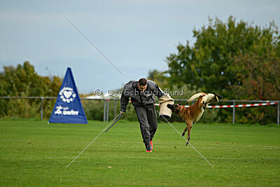 Brave Brisko von den zauberhaften Teufeln