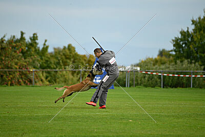 Brave Brisko von den zauberhaften Teufeln