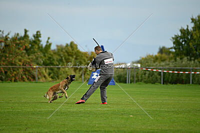 Brave Brisko von den zauberhaften Teufeln