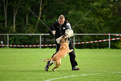Brave Brisko von den zauberhaften Teufeln