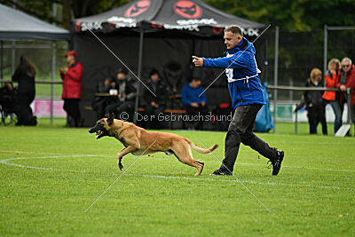 Brave Brisko von den zauberhaften Teufeln