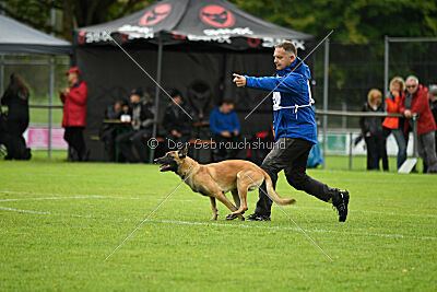 Brave Brisko von den zauberhaften Teufeln